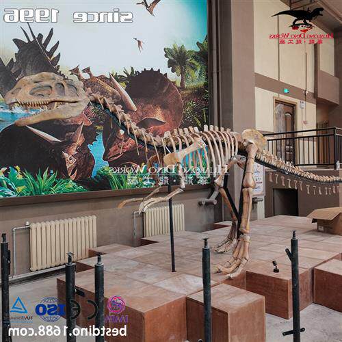 自贡大型仿真化石恐龙厂家恐龙化石骨架模型制作博物馆展览