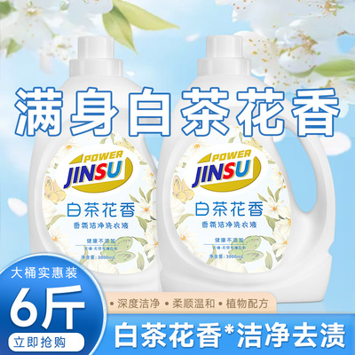 活力白茶花量大价更优