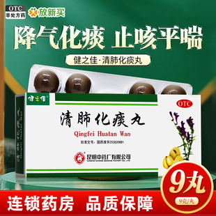 健之佳 清肺化痰丸 9g*9丸/盒 降气化痰止咳平喘肺热咳嗽肺气不畅