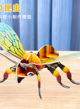 3D昆虫拼装生物模型 科学实验器材科技小制作diy学生生物科普玩具