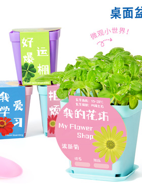 儿童种植花坊小盆栽手工diy科学实验包材料学生幼儿园厂家