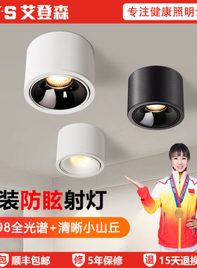 艾登森全光谱护眼明装筒射灯
