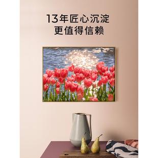 数字油画diy客厅沙发手绘手工填色涂色油彩画郁金香之夏 自油自画