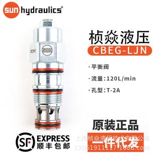 XCN 插装 正品 CVGV 原装 XAN XDN SUN单向阀 阀