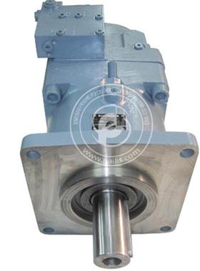 A11V0145LRDS/11L-NSD12N00柱塞泵 派力士液压油泵 原装厂家直销