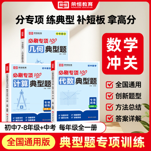 2025新版初中数学典型题专项训练