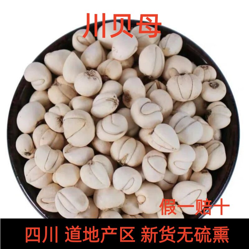 川贝阿坝产特级无熏松贝川贝母