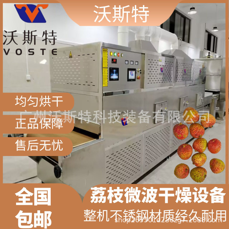 沃斯特水果烘干设备 荔枝微波干燥设备 果蔬脱水设备