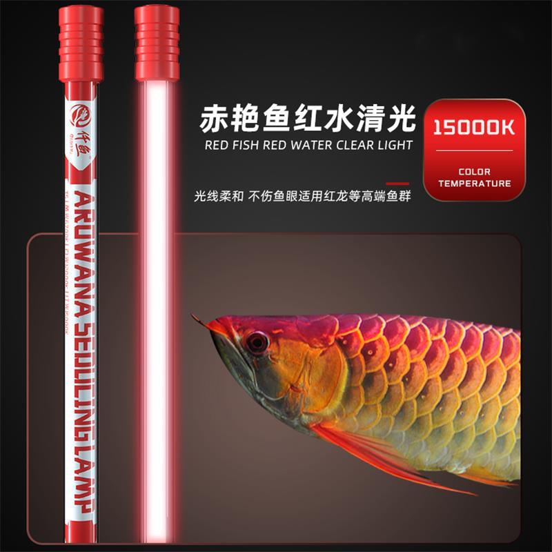 龙鱼专用发色灯诱色增色T5鱼缸原子灯nec金龙红龙鱼灯潜水灯