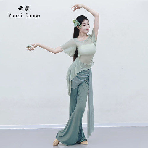 古典舞服装练功服纱衣中国舞舞蹈服绝美演出服女飘逸新款古典上衣