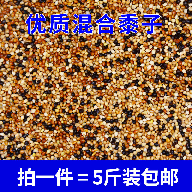 极速叫声斑鸠麻雀乌食毛色鸟饲料专用鹦鹉攀爬免运费粮食鸽子虎皮