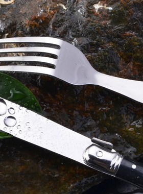 34pcs Laguiole StyleFlatware Set Stainless Steel Dinner k Sa