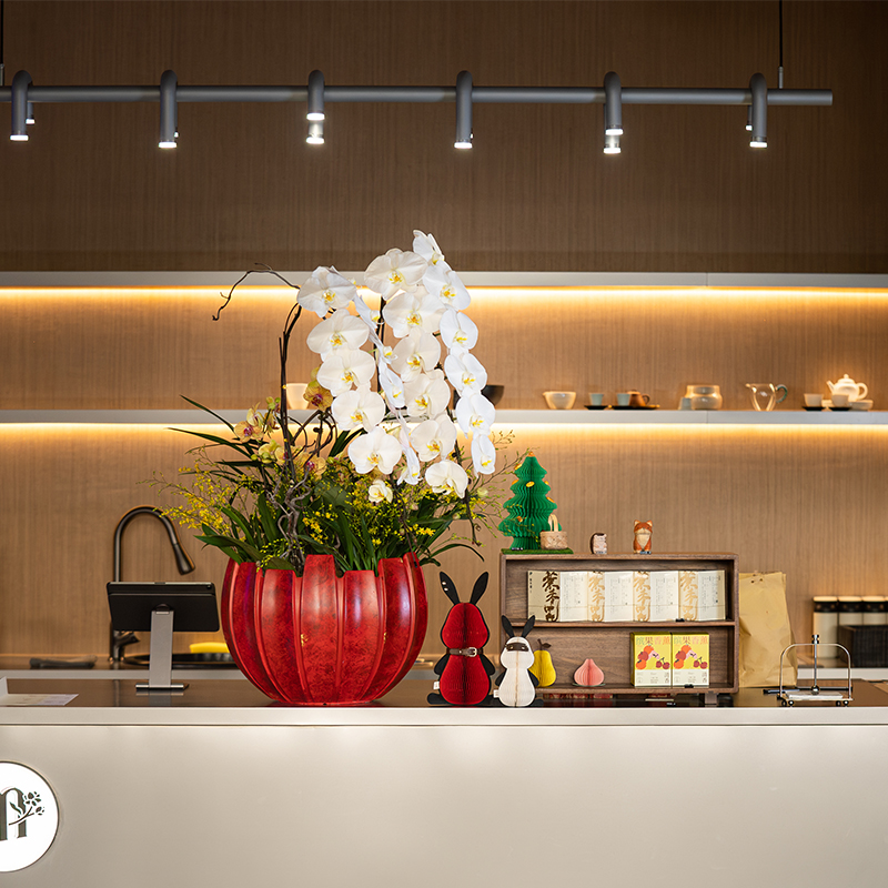 速发绿植面花室内咖啡桌饮会所餐插装饰摆件花艺植物蝴蝶兰