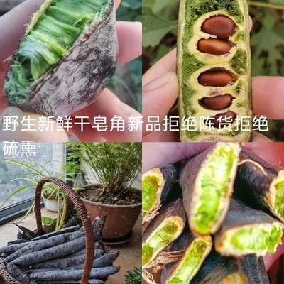 沂蒙山2025皂角新货洗发野生皂荚中药材皂角防脱野生新皂角无硫