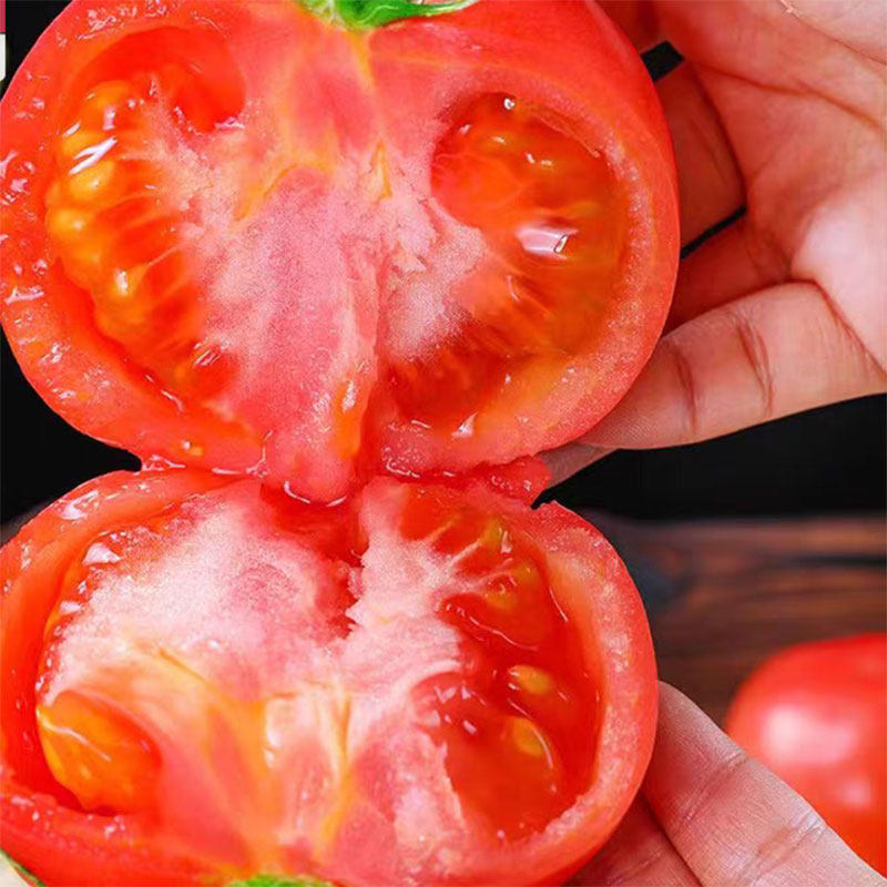 3包方震种籽四季番茄种子阳台盆栽种植粉果番茄种子