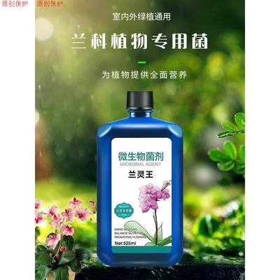 兰灵王花专用营养液肥料