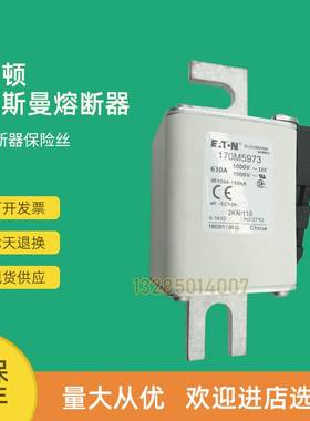 全新快速熔断器保险170M5929170M5930170M5931议价