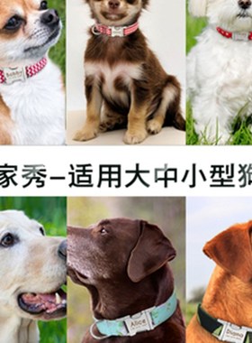 Dog Collar Pet Tag Puppy Cat Nameplate ID Collars Adjustable