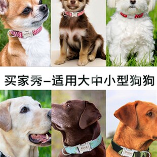 Dog Collar Pet Tag Puppy Cat Nameplate ID Collars Adjustable