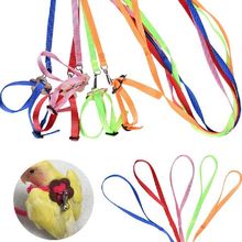 shaped Harness Leash Hamster Turtle 网红8 Parrot Bird