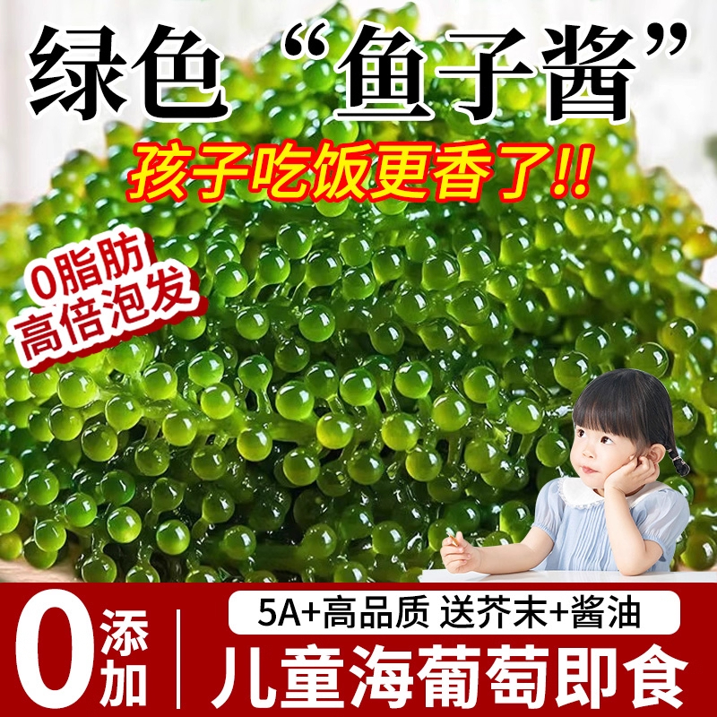 童海葡萄即食海带海草裙带菜吃的