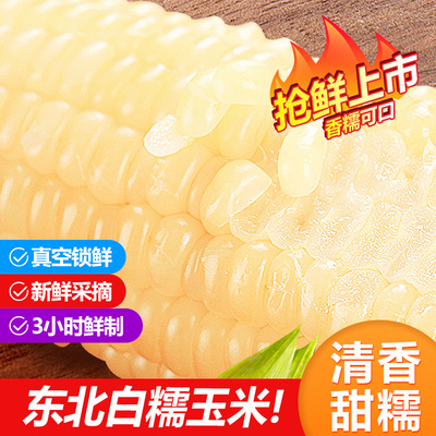 2025[饱满清香甜糯]奥利施996头茬白糯玉米颗粒饱满乳期真空鲜制