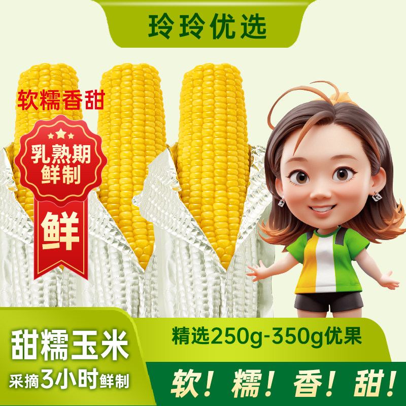 2026上新苞公主甜糯黄玉米绥化鲜食玉米黏玉米