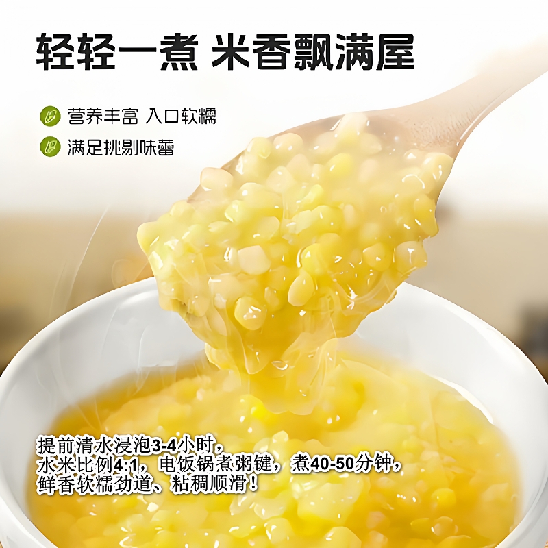 2025东北青稞糯玉米碴新鲜上市无皮中粒糯玉米熟碴