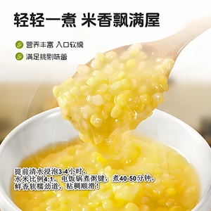 东北青稞糯玉米碴新鲜上市无皮中粒糯玉米熟碴