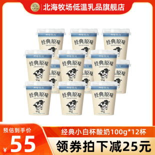 12杯低温奶原味生牛乳发酵乳 北海牧场经典 小白杯酸奶100g