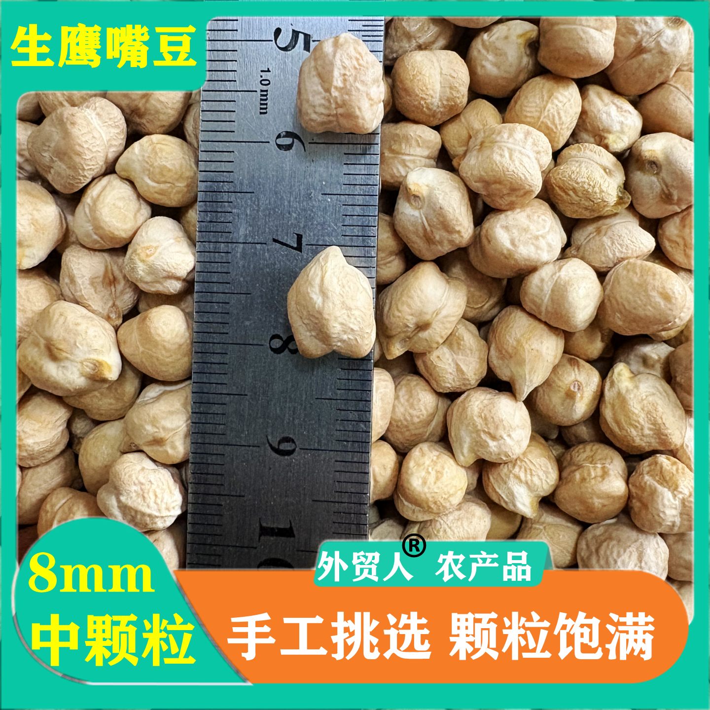 正宗新疆鹰嘴豆5斤五谷杂粮