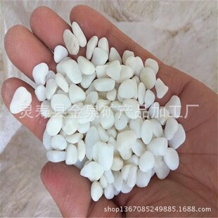 速发供白鹅色石应卵水族石过滤用鹅卵石雨花石建筑水磨石子彩色