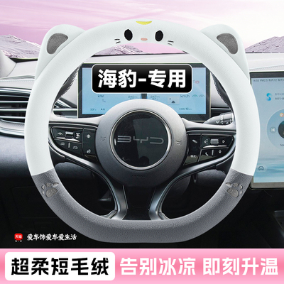 适用比亚迪海豹06dmi方向