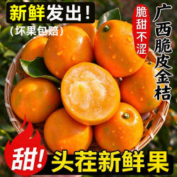 广西融安金桔当季水果纯甜不酸5斤包邮产地现摘现发脆皮金柑鲜果