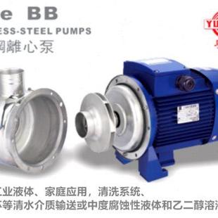150 粤华不锈钢离心泵BB500 P耐腐蚀循环泵大流量增压泵清洗泵