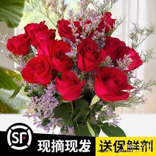 红玫瑰鲜花云南昆明斗南基地直批直发新花卉鲜切花花束