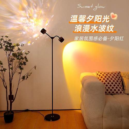 2025新款双头动态落地灯创意简约直播氛围灯台灯落地款式可调光