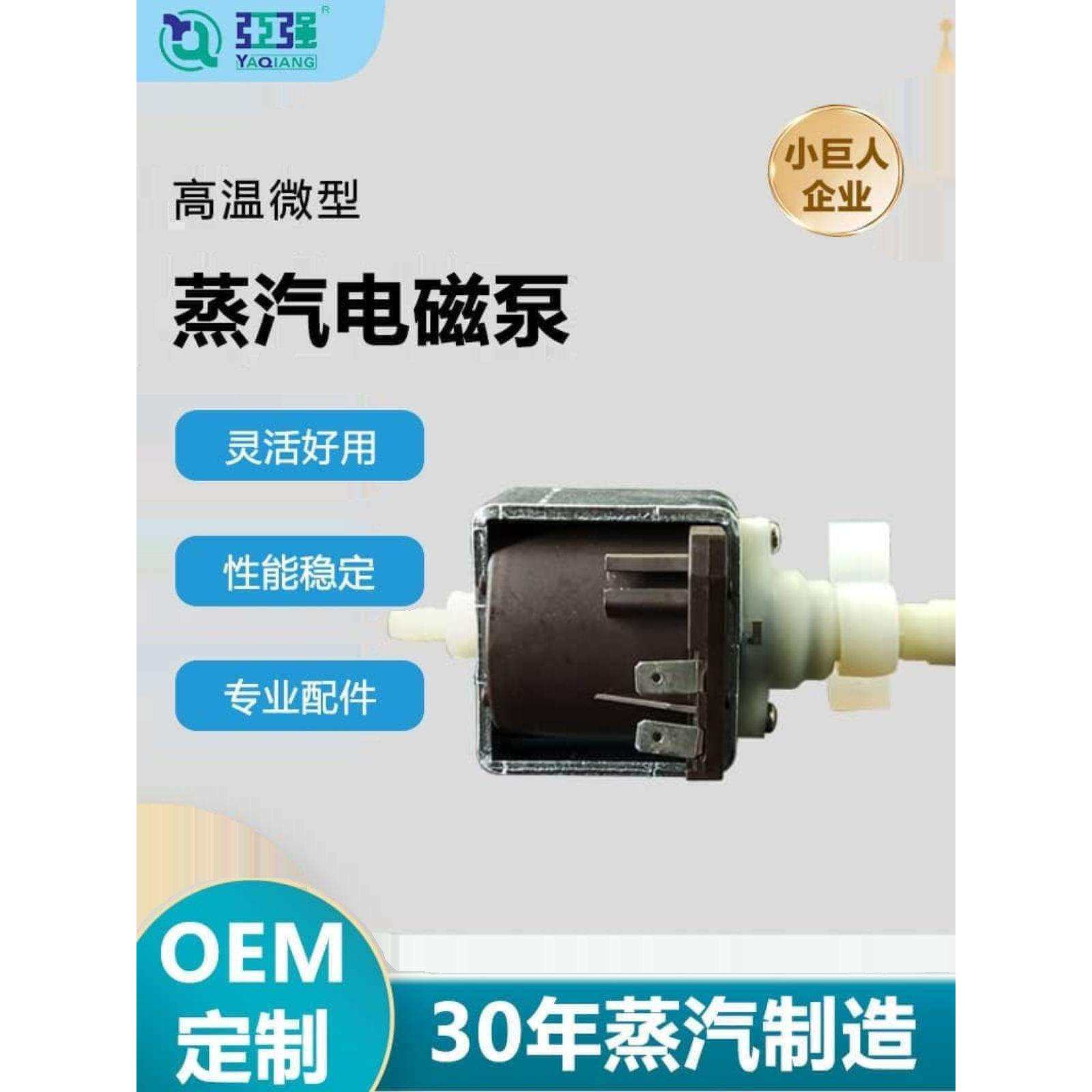 高温蒸汽洗车机微型电磁泵自吸式大流量水泵蒸汽清洗机扫地拖把机