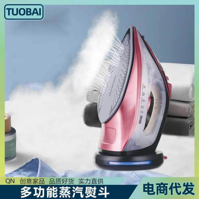 欧规220V多功能蒸汽熨斗衣服去除皱手持挂式带线电烫熨斗干湿两用