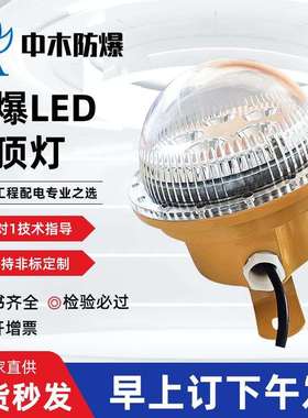 防爆灯20w30w40w50w60w70w加油站厂房车间LED防爆照明灯