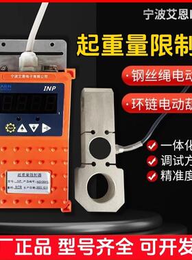电动葫芦起重量限制器艾恩INP环链葫芦超载限重器轴销单双链5T10T