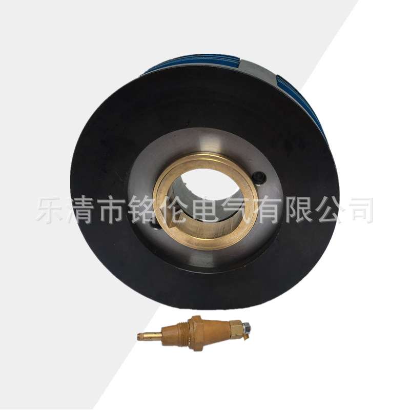 DLM10型湿式多片电磁离合器 DLM10-6AG 机床离合器附件 直流24v