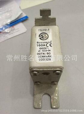 BUSSMANN快速熔断器170L315880A660VAR保险丝170L3158-F