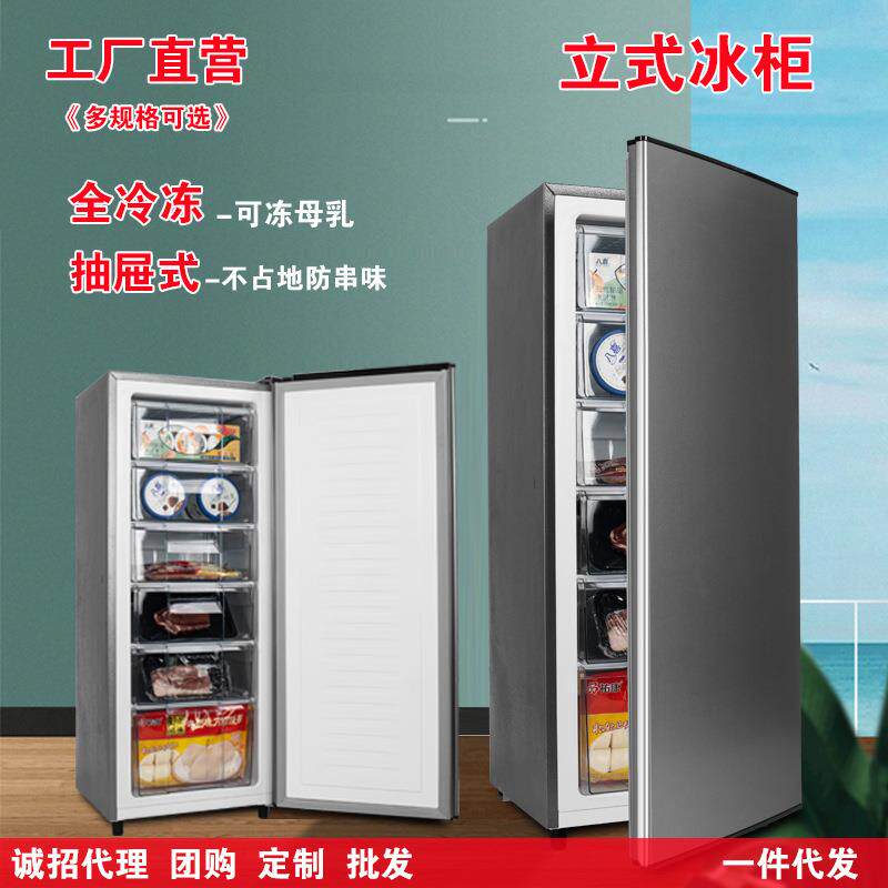 全冷冻冰箱立式冷柜抽屉式小冰柜侧开门家用可冻母乳大容量