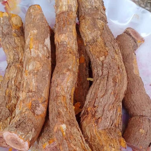 云南正品当季雷公藤根皮中药材红根皮雷公藤新鲜黄藤根发货现採