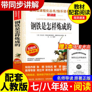七八年级下册必读名著带批注天地出版 YY钢铁是怎样炼成 适合小学生初中生课外阅读书籍青少年初二学生版 原著完整版 社无删 初中正版