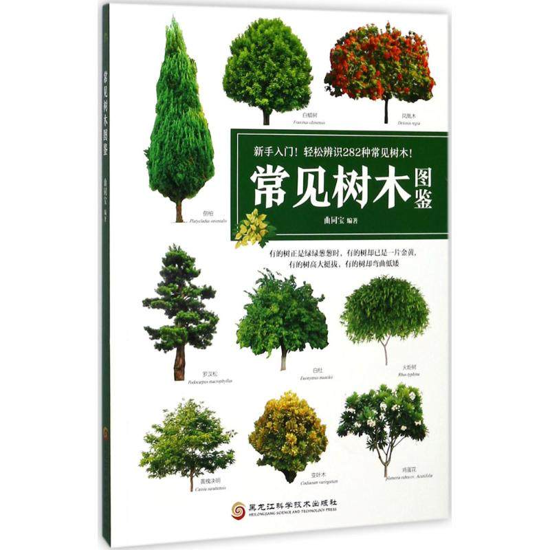CYSJ常见树木图鉴曲同宝9787538893267黑龙江科学技术出版社,书籍/杂志/报纸,自由组合套装,淘宝优惠券,粉丝福利购,淘宝优惠卷