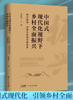 GDRM中国式现代化视野下乡村全面振兴 理论基础 创新实践和发展道路
