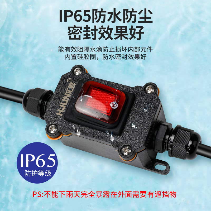 双头出线大功率船型开关