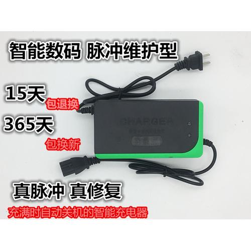 电动车电瓶充电器48V12AH60V20AH72V30AH64V36适用于新日爱玛雅迪 电动车/配件/交通工具 电动车充电器 原图主图